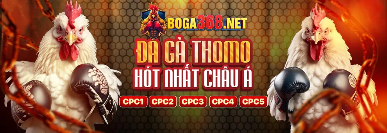 Khuyến mãi chào mừng thành viên mới vnbet chính thức